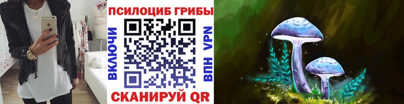 Псилоцибиновые грибы Psilocybe  что такое наркотик  Назарово 