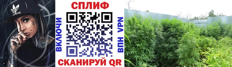 ссылка на мегу зеркало  Назарово  Конопля LSD WEED 